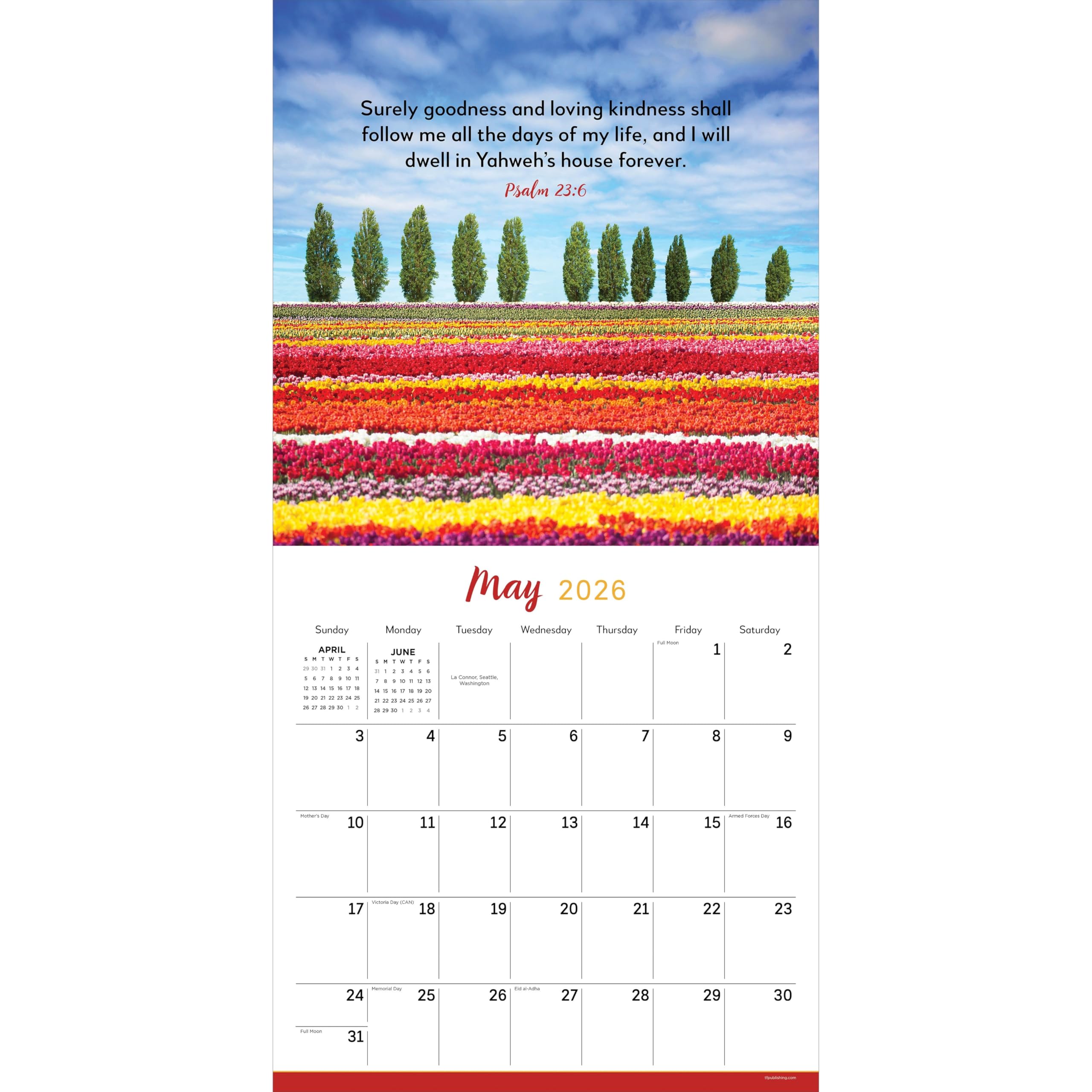 TF PUBLISHING 2024 Italy Wall Calendar | Large Grids For Appointments And Scheduling | Vertical Monthly Wall Calendar 2024 | Home & Office Organization | Thick Gloss Paper | 12"x12 - View #10