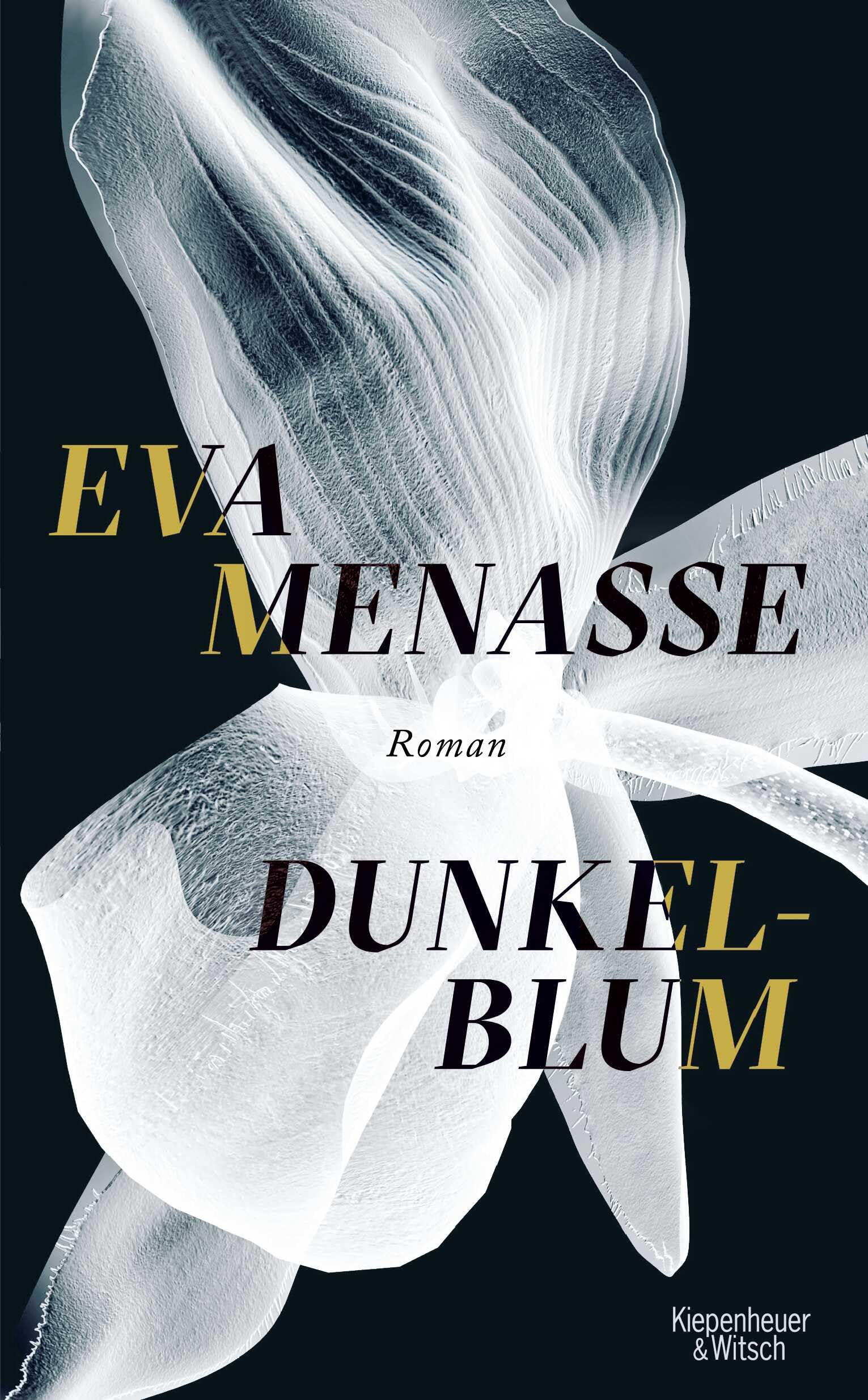 Dunkelblum: Roman