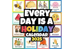 Every Day Is a Holiday Fun Wall Calendar 2025