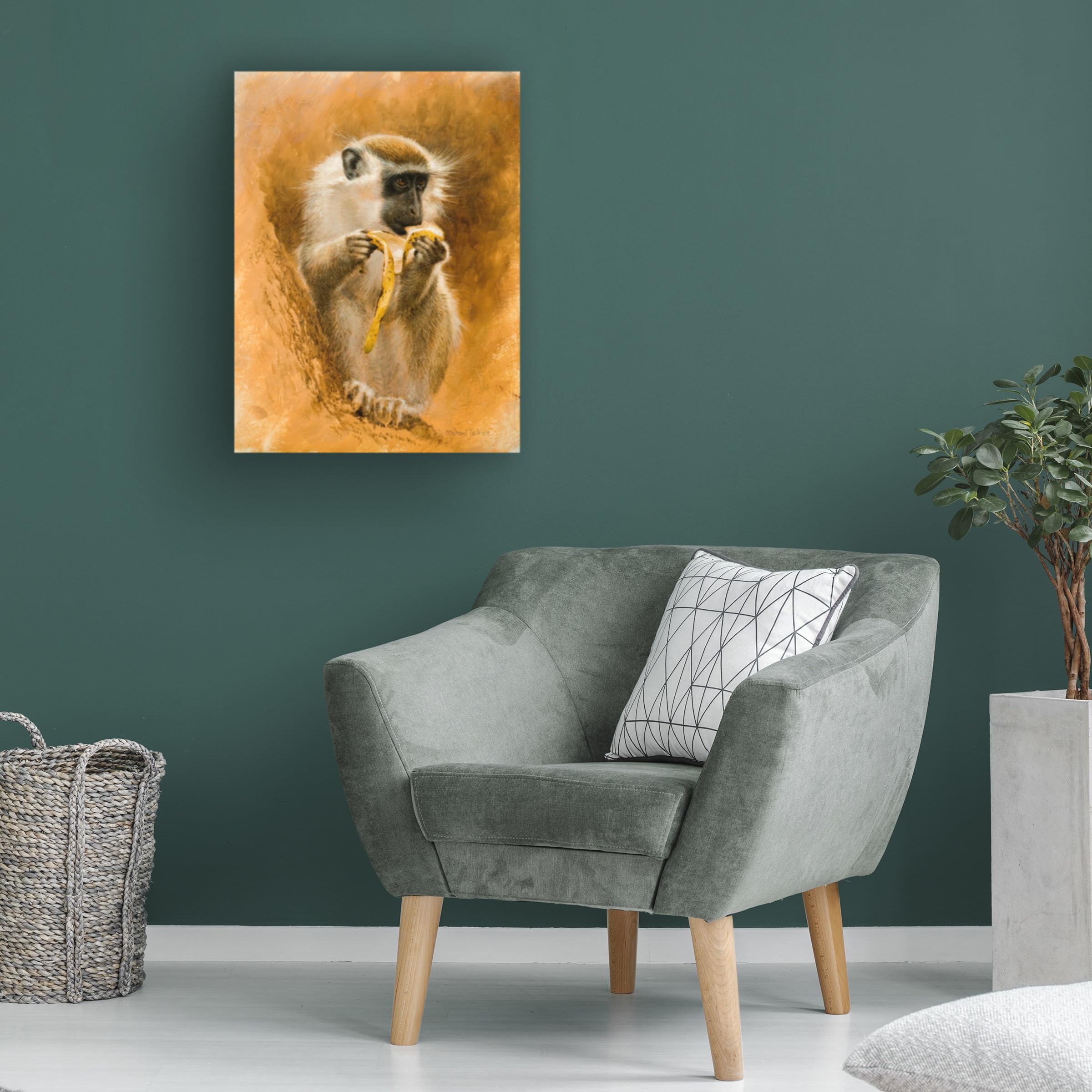 Amazon.com: Trademark Fine Art - 'Green Monkey' Canvas Art - 24x18