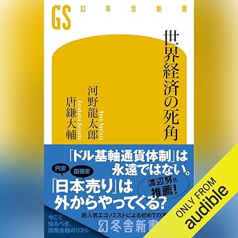 世界経済の死角 オーディオブック 河野龍太郎 episode artwork