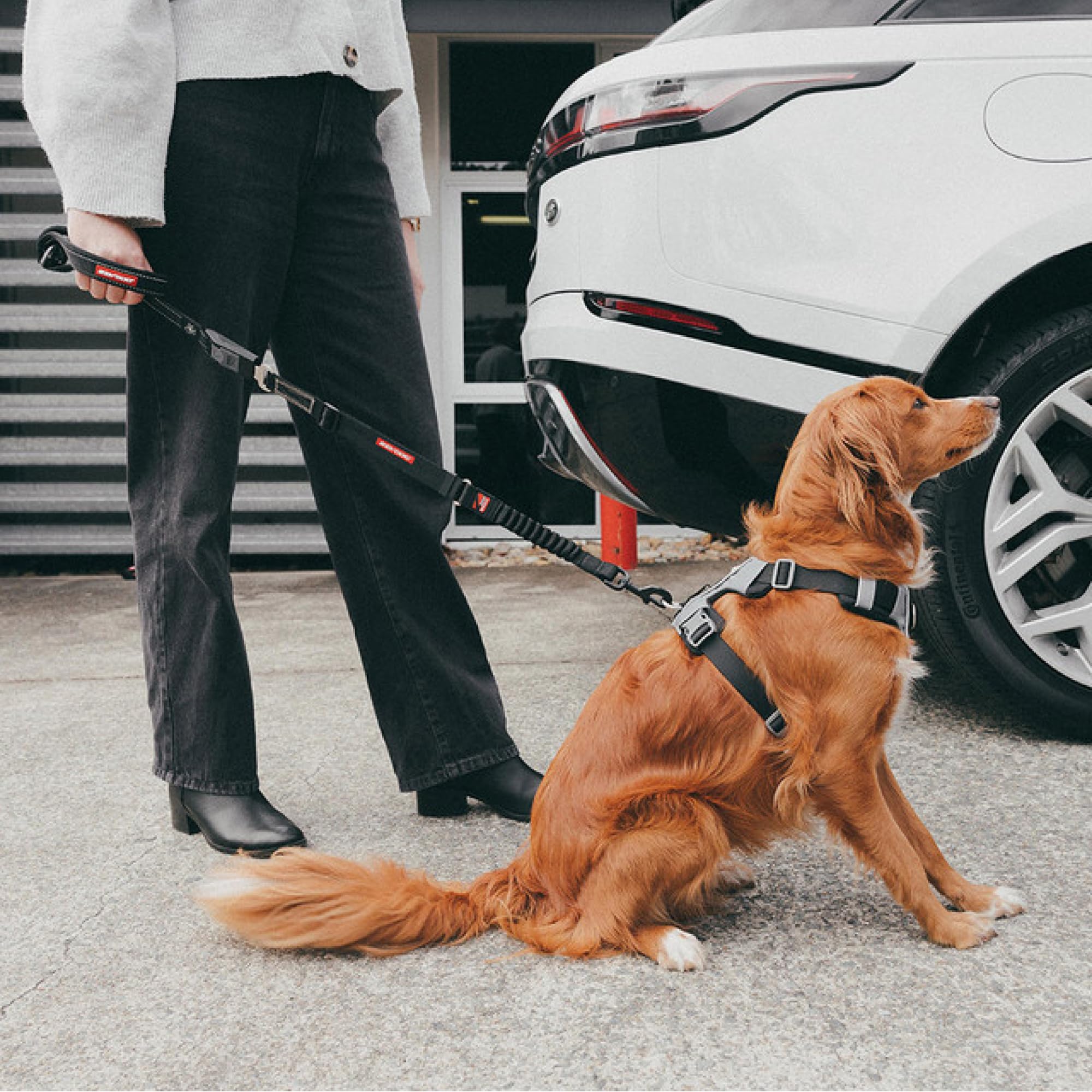 EZYDOG Drive Click Handle | Car Compatible, Lead Handle 2in1