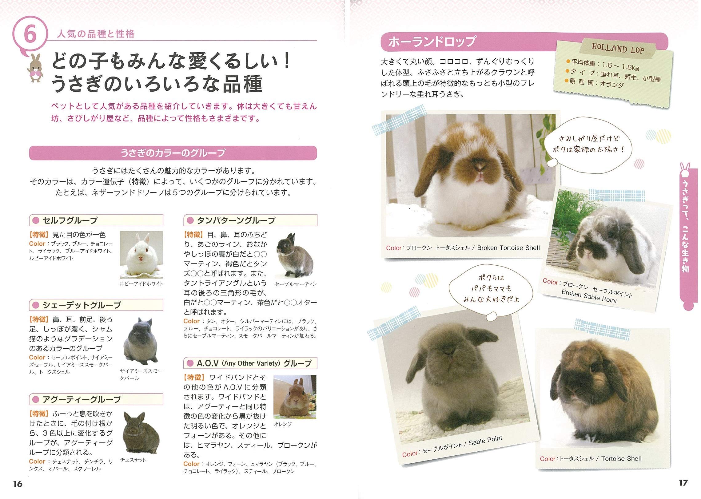 はじめてでも安心 かわいいうさぎ 幸せな飼い方 育て方がわかる本 コツがわかる本 大里 美奈 本 通販 Amazon