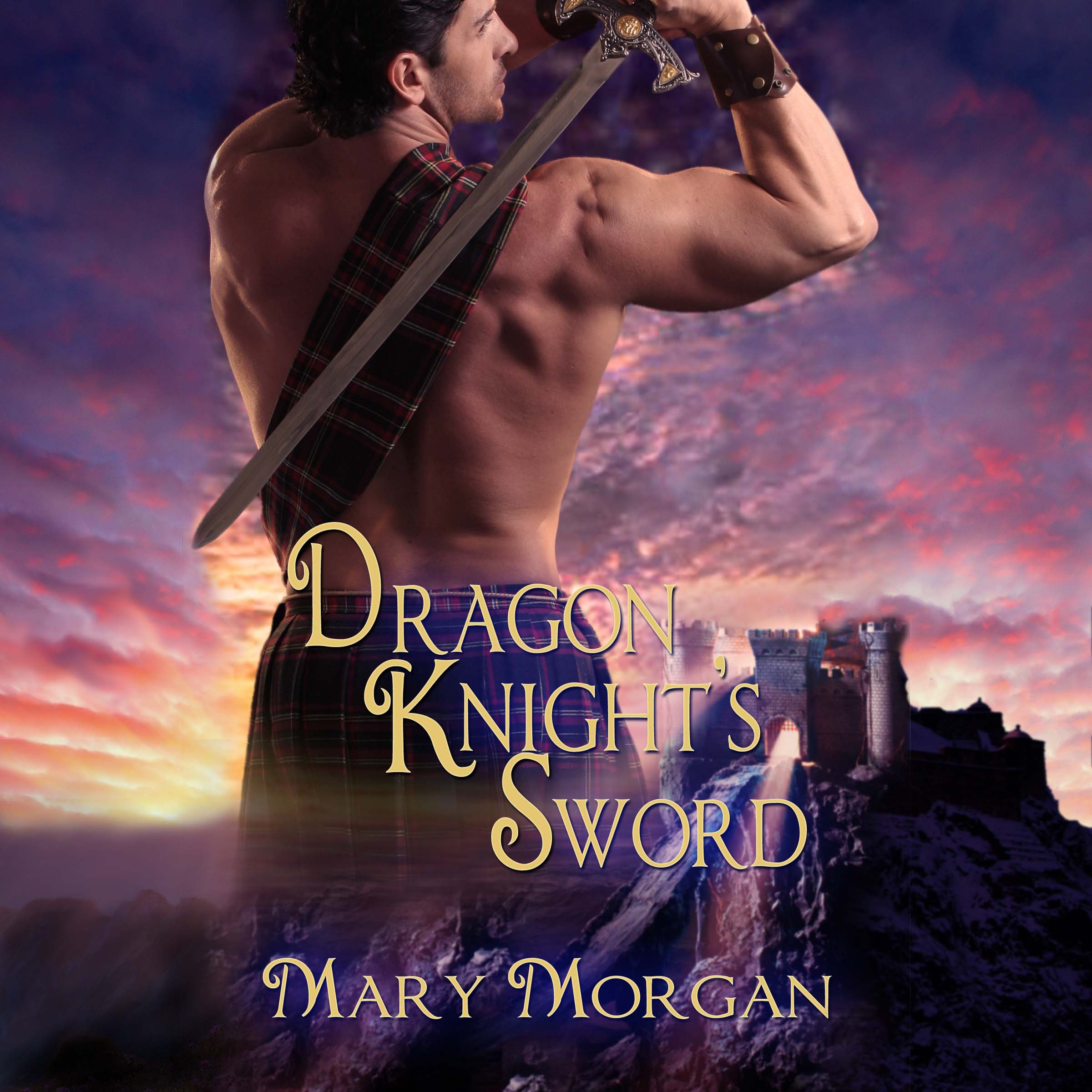 Cover art for Dragon Knight's Sword