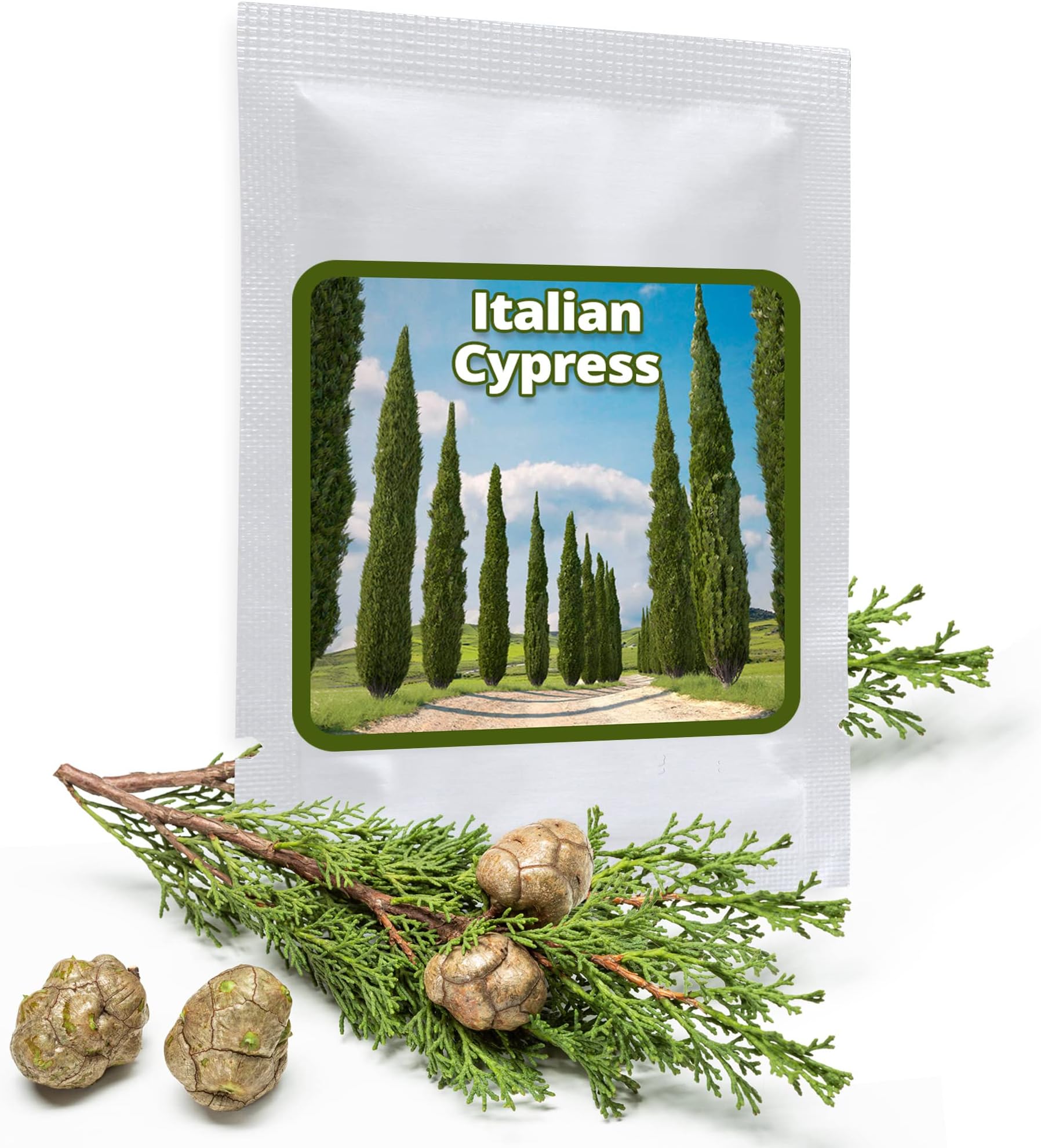 100 pcs Italian Cypress Seeds - Mediterranean Cypress - A Evergreen Classic from Italy’s Tuscany