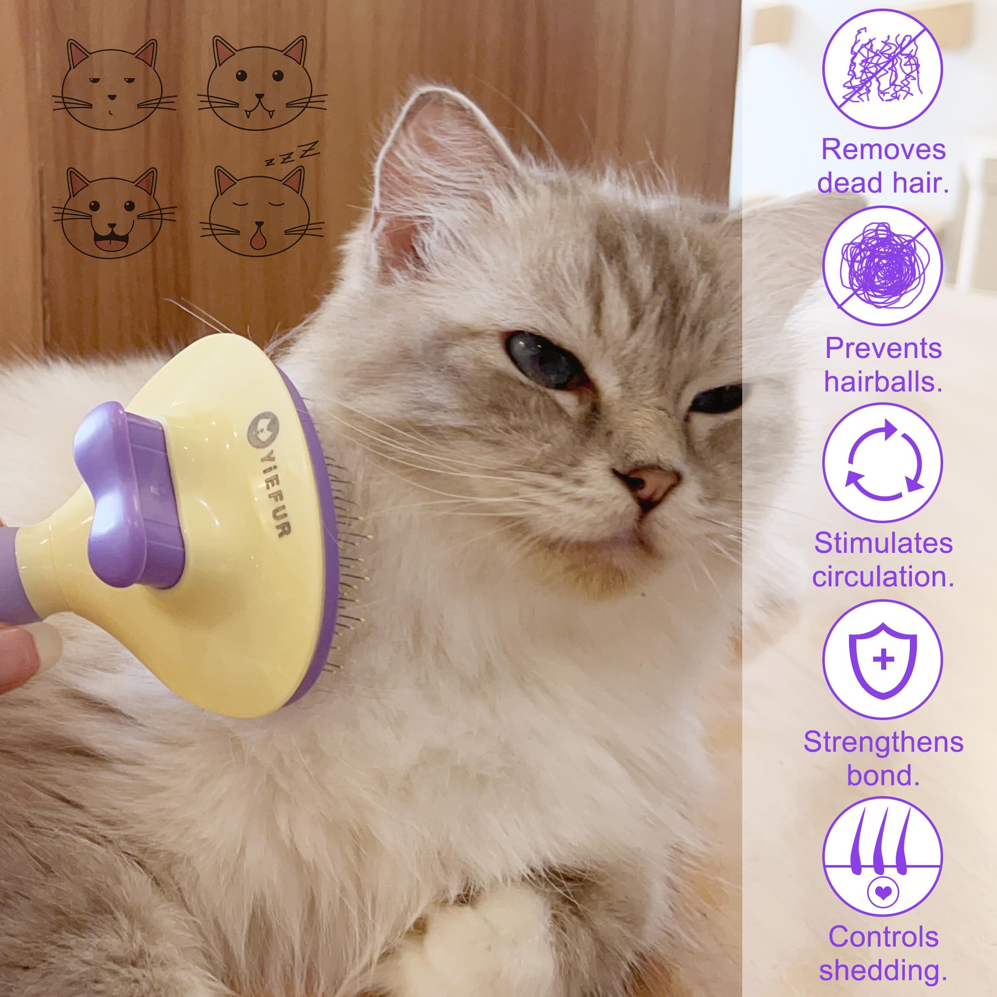 Brosse à poils de chat, brosse à poils courts et longs en silicone doux pour chats à poils courts et longs, pour le toilettage et la perte de poils (violet)