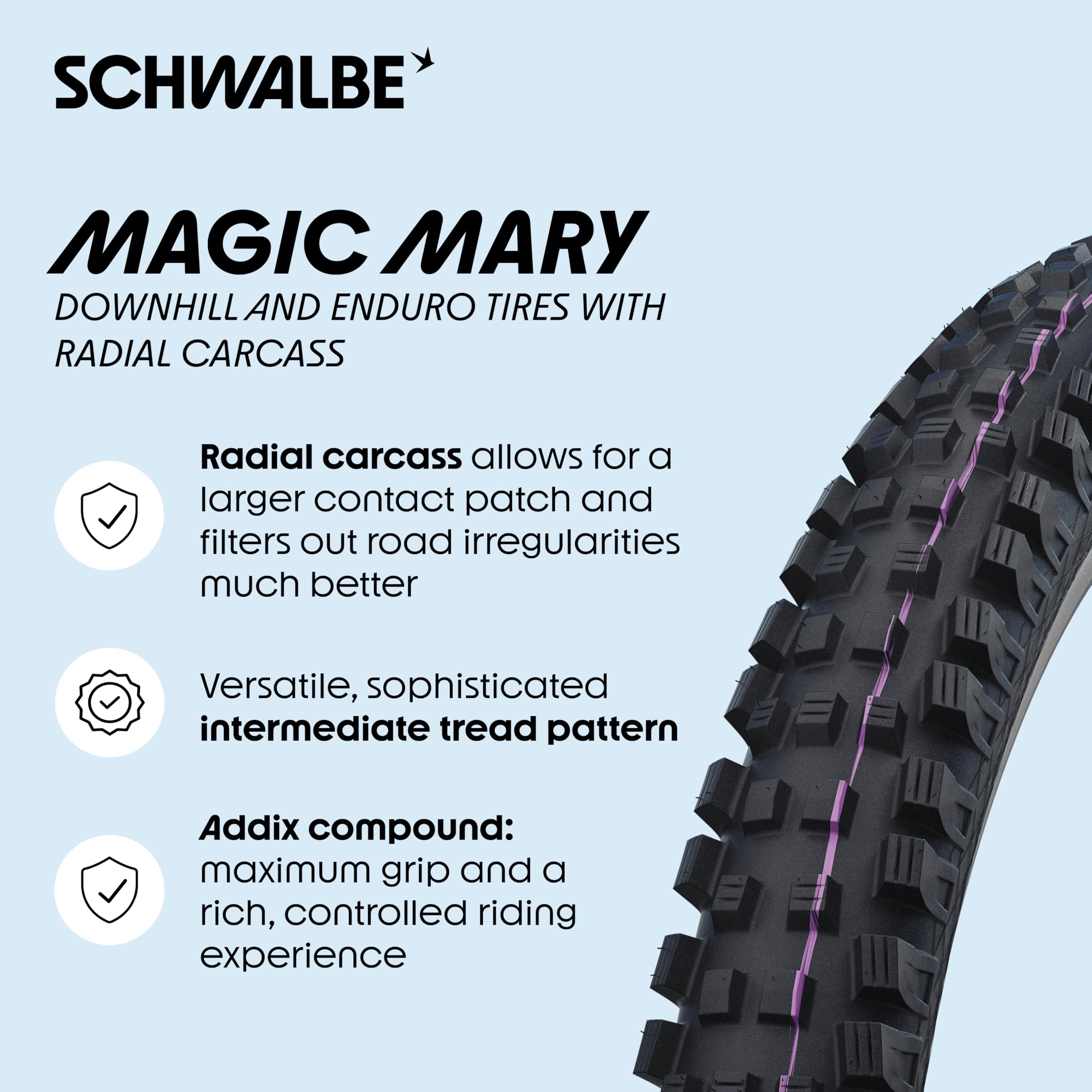 Amazon | Schwalbe Gravity Pro Magic Mary Radial Addix ウルトラ