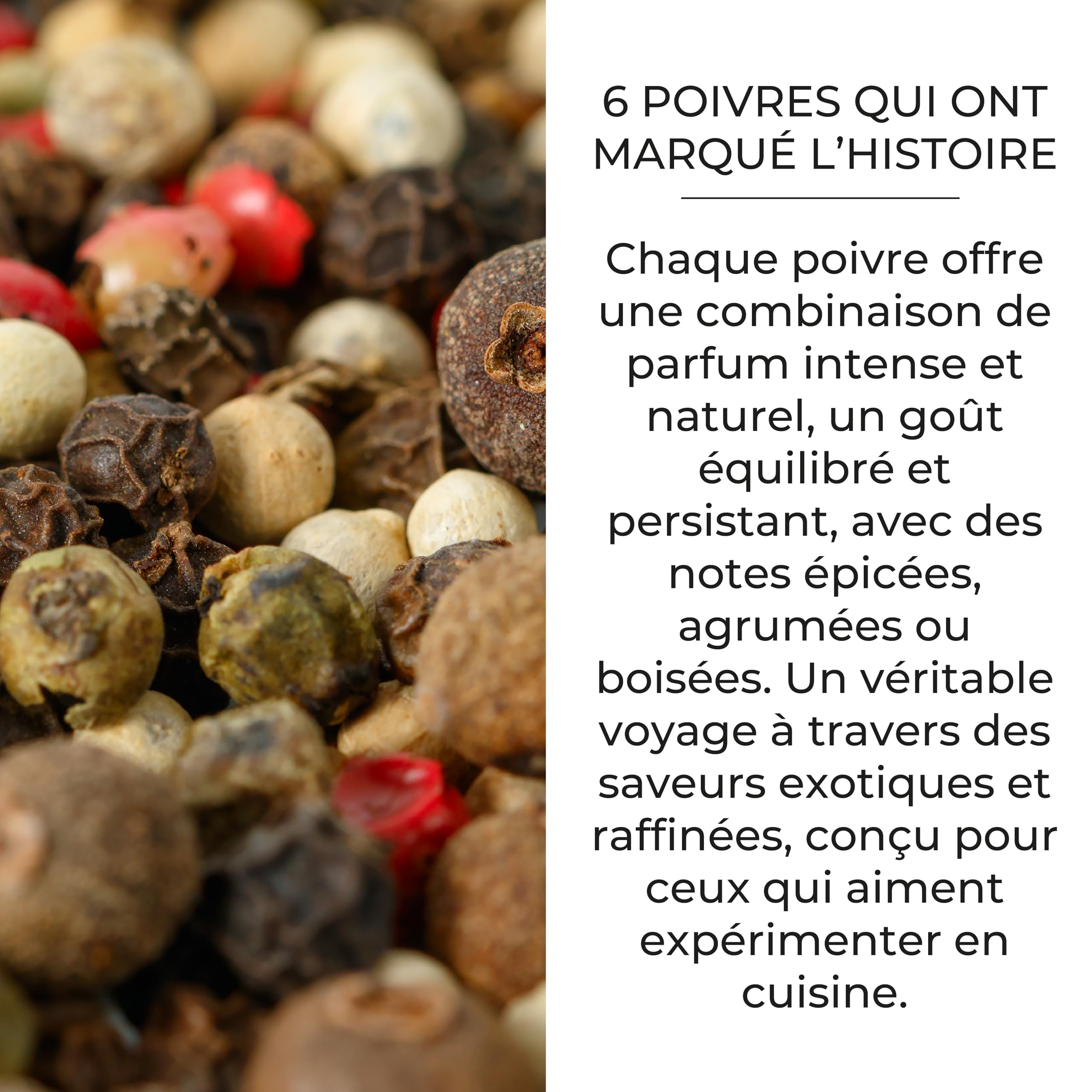 Poivres du monde Bembo – 6 poivres gourmets rares – Cadeau d’épices – Cuisine Raffinée