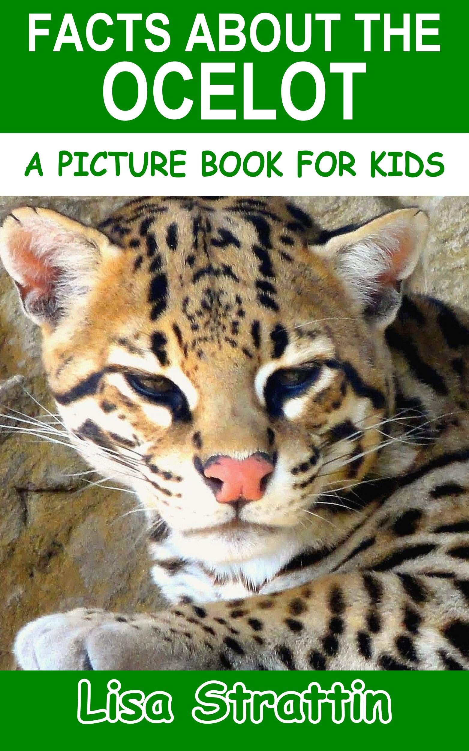 ocelot for kids
