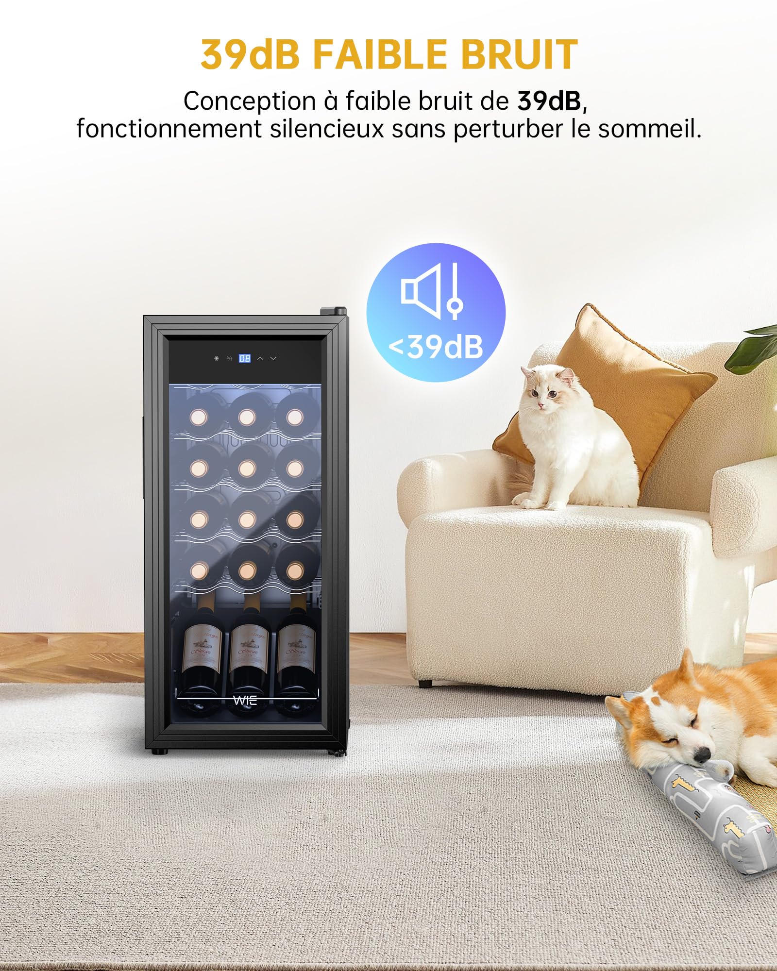 Cave à Vin 18 Bouteilles 53L Réfrigérateur à Vin 5°C-18°C Compresseur Verre Porte Panneau Tactile LED