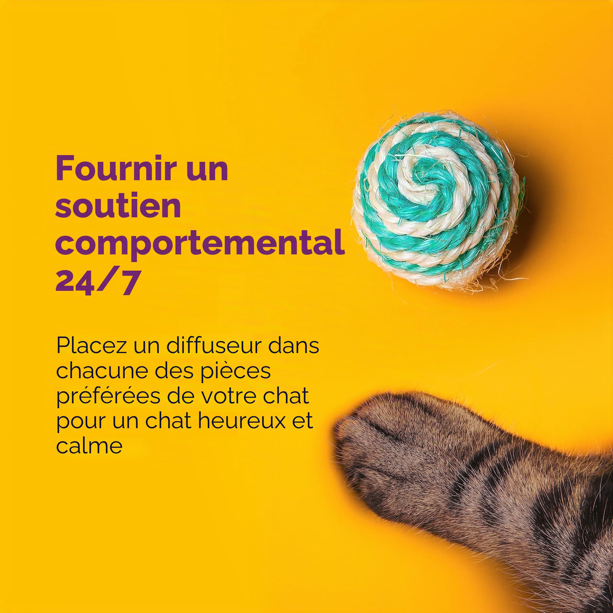 Comfort Zone Lot de 2 recharges pour diffuseur de phéromones apaisantes pour Chat (60 Jours) pour Une Maison Calme | Recommandé par Les vétérinaires | Déstressez Votre Chat et réduisez Les