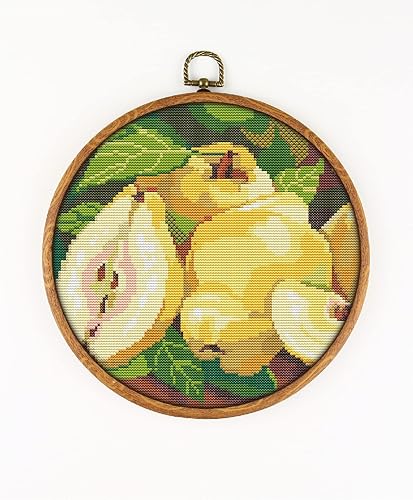 Quince CS1023-1 - Counted Cross Stitch KIT#2. Set of Threads, Needles, AIDA Fabric, Needle Threader, Embroidery Clippers and Printed Color Pattern