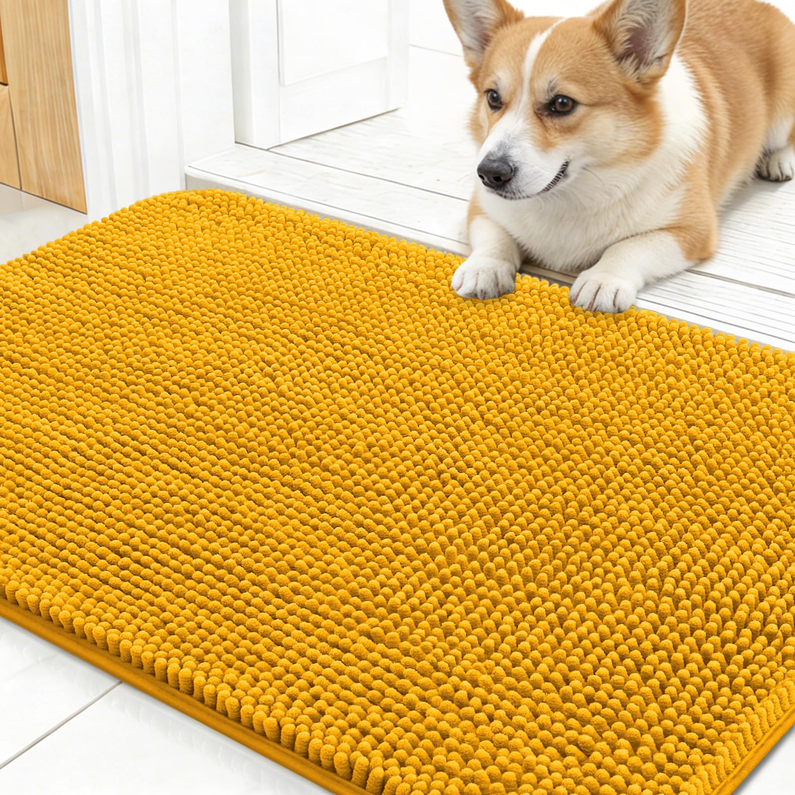 OLANLY Dog Door Mat for Muddy Paws 24x16, Super Absorbent Chenille Mud Mat