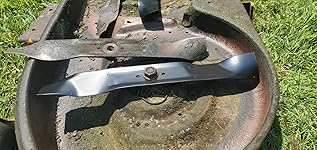 Review Image by James Madison James Madison