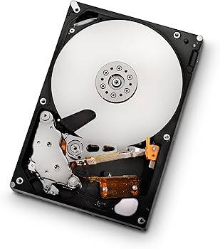 Amazon.com: HGST Ultrastar 3.5-Inch 500GB 7200RPM SATA II 16 MB