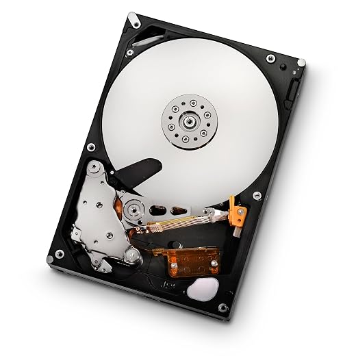 HGST Ultrastar A7K2000 3.5-Inch 2TB 7200RPM SATA II 32 MB Cache Enterprise Hard Drive with 24x7 Duty Cycle (0F10452)