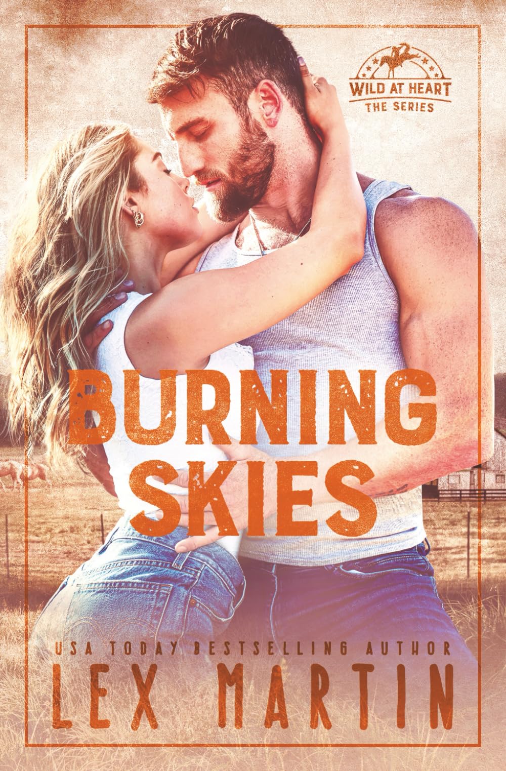 Burning Skies (Wild at Heart)