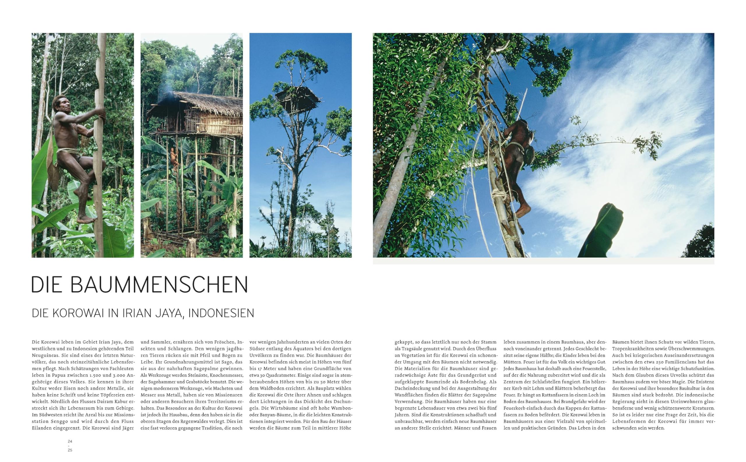 Baumhäuser: Neue Architektur in den Bäumen