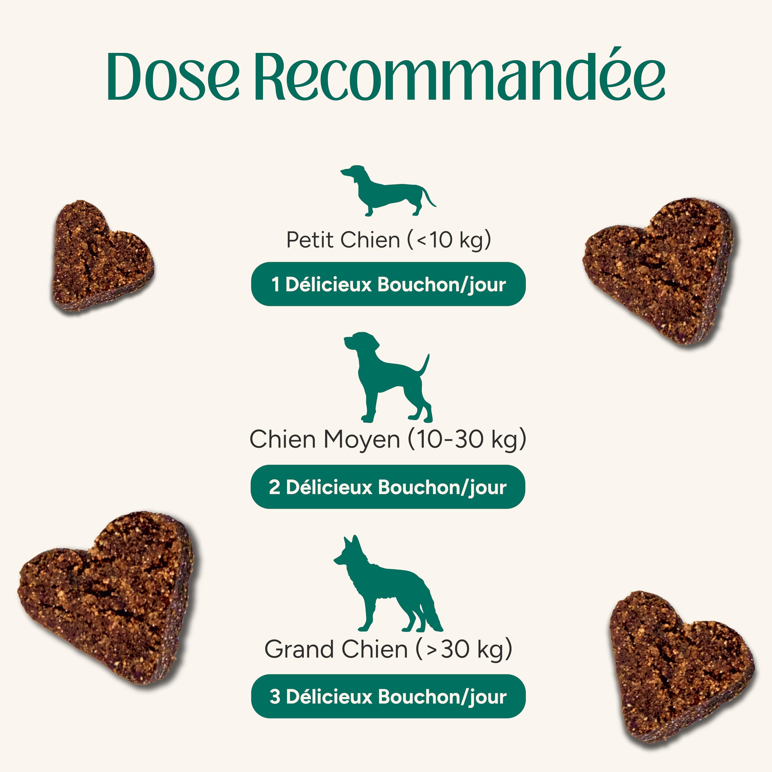 Probiotiques Chien, Complément Naturel pour la Santé Intestinale, Soutien Digestif et Immunitaire, Soulagement des Allergies Toutes Races (60 Chews)