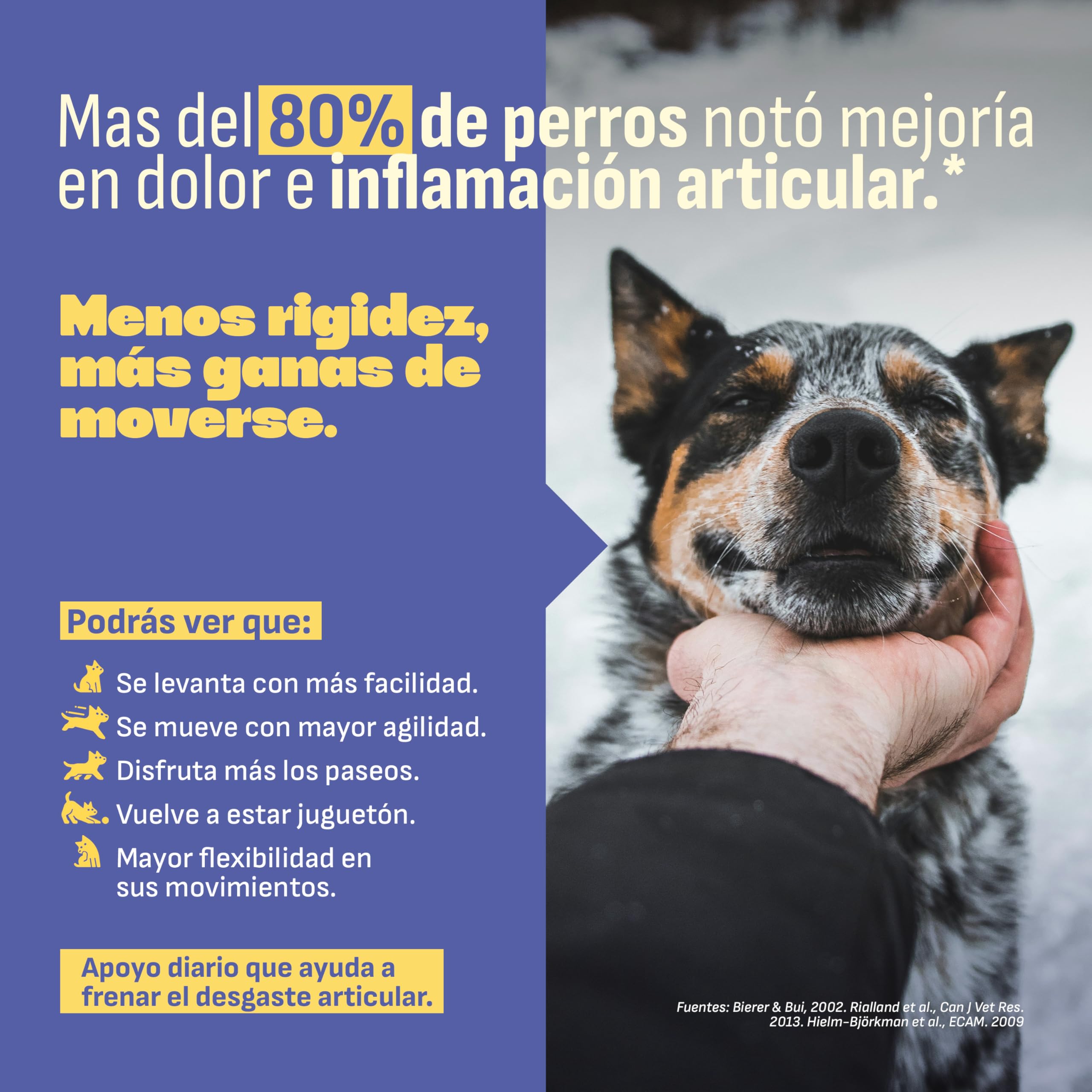 MYLO Condroprotector Perros Articulaciones Perro, Movilidad y Confort. Glucosamina, MSM y Colágeno para Fortalecer Cartílago. Mejillón de Labio Verde Antiinflamatorio Perros Natural. 60 Uds