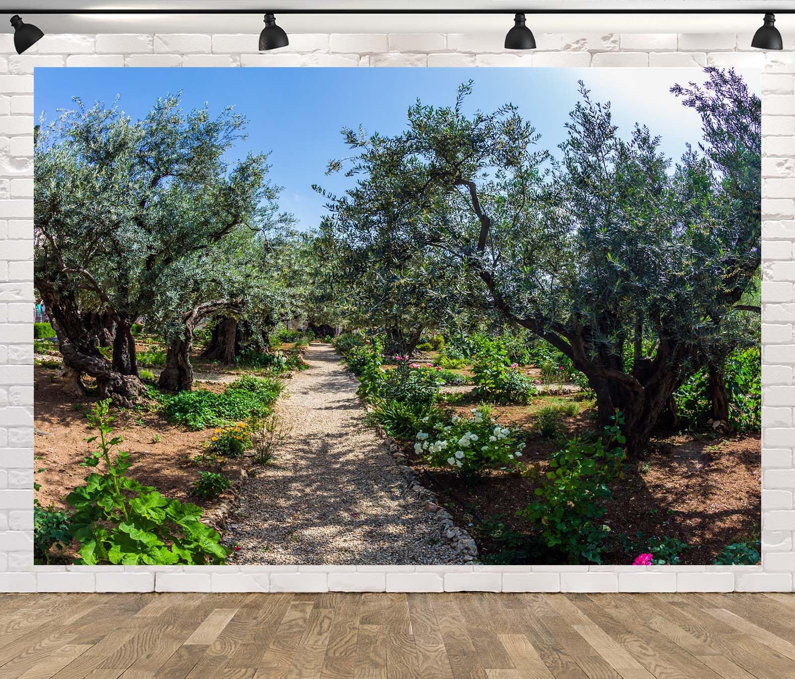 BELECO 6x3m Telo sfondo giardino di Getsemani | Paesaggio Gerusalemme ulivi antichi sfondo decorazione festa biblica banner accessori fotografia Israele