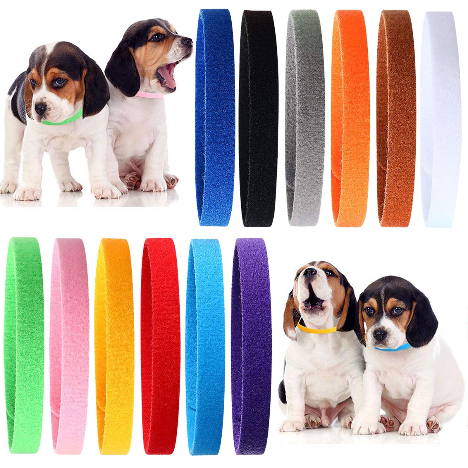 Colliers d'identification pour chiots réglables - Lot de 12 couleurs