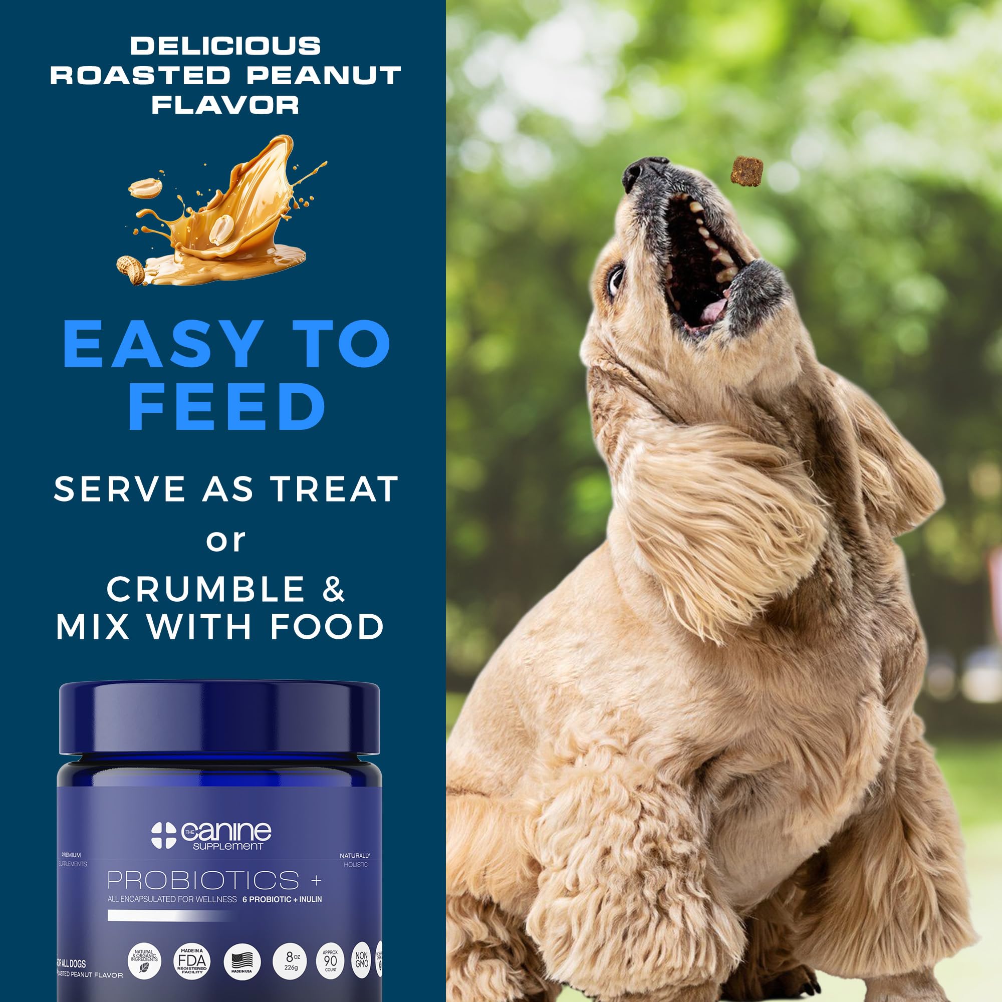 Probiotics for Dogs | Soft Chews with Digestive Enzymes, Pumpkin & Prebiotics | Supports Gut Health, Immunity, Stool Quality & Nutrient Absorption | Peanut Flavor, 90 Count - image 4