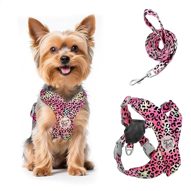 Pawaboo Conjunto de arnés y Correa Ajustable para Perros pequeños