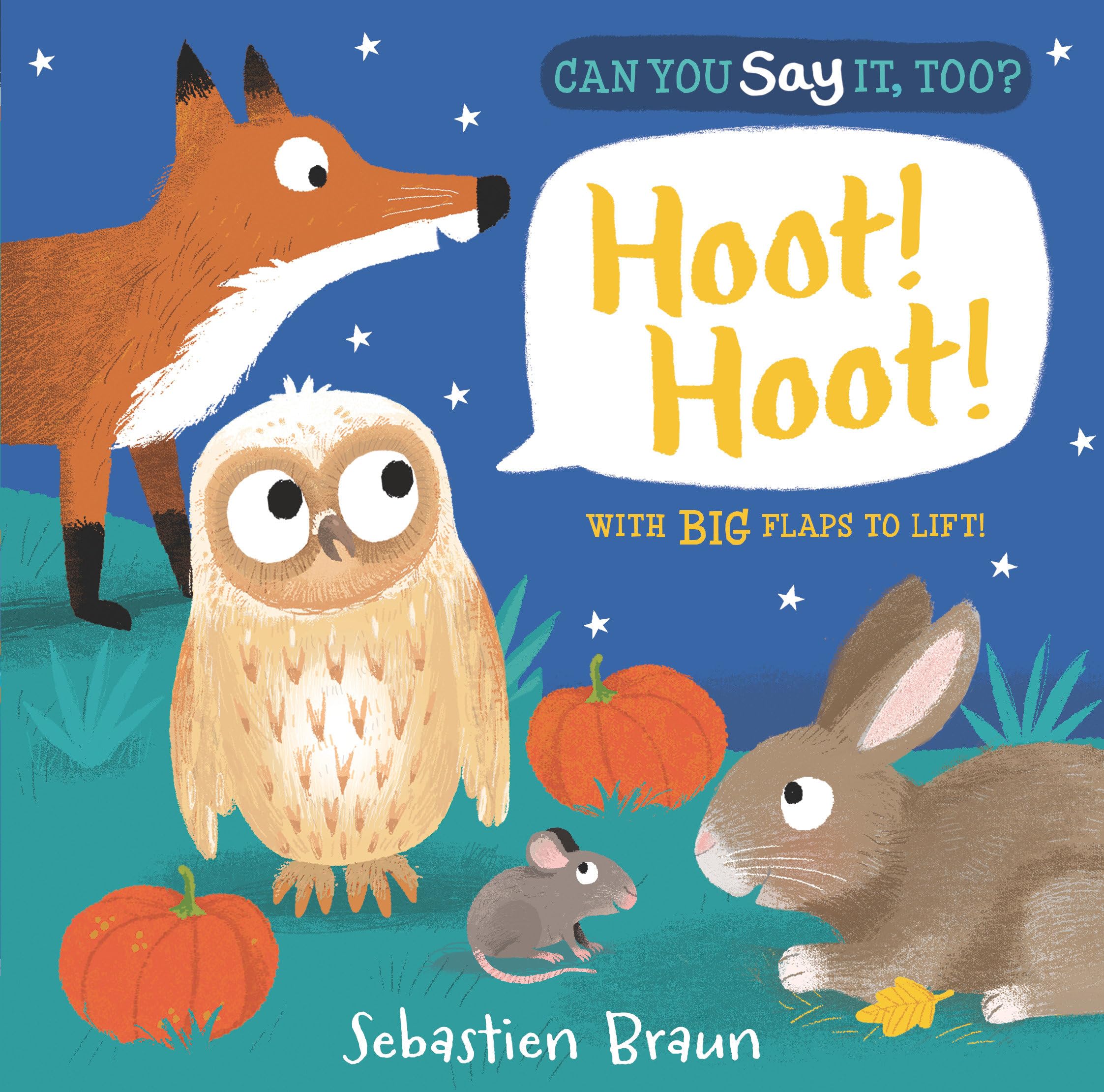 Can You Say It, Too? Hoot! Hoot!: (An Interactive Lift-the-Flap Nighttime Animal Sound Book Featuring Owls, Foxes, and More - For Babies and Toddlers)