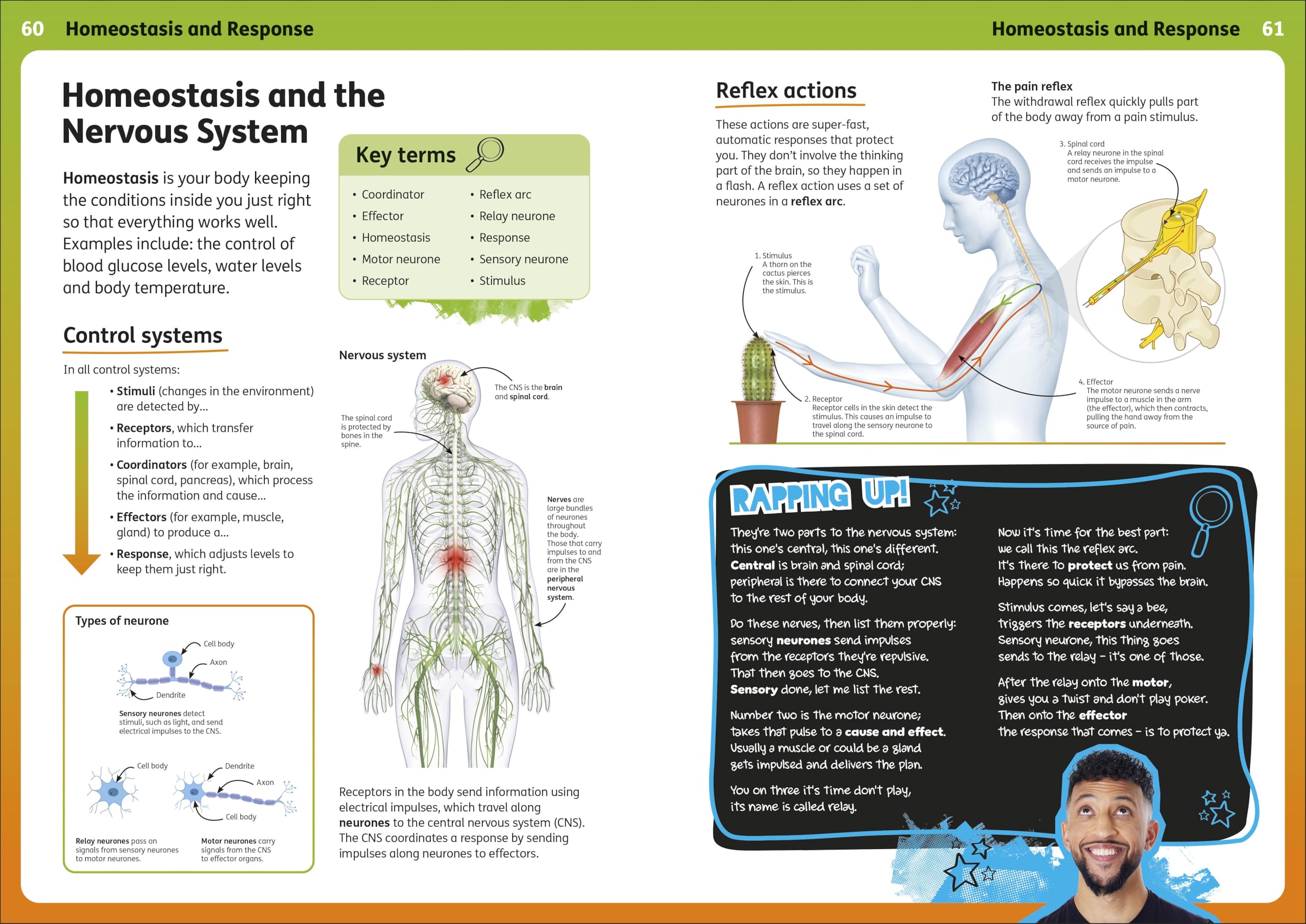 Rapping Up Biology (DK The Rapping Science Teacher)