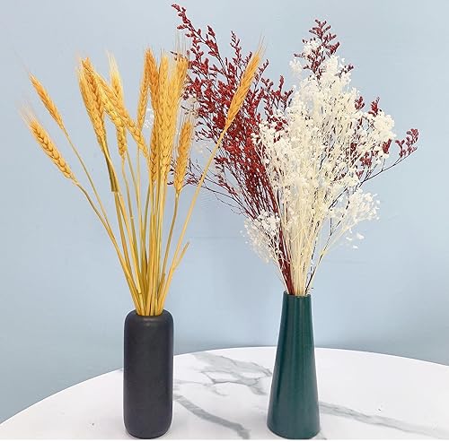 Miniatura 7 de 81 piezas de hierbas secas de las pampas boho, decoración de hierba de las pampas, ramo de flores secas, ramas de hierba de pampa, hojas de palma,