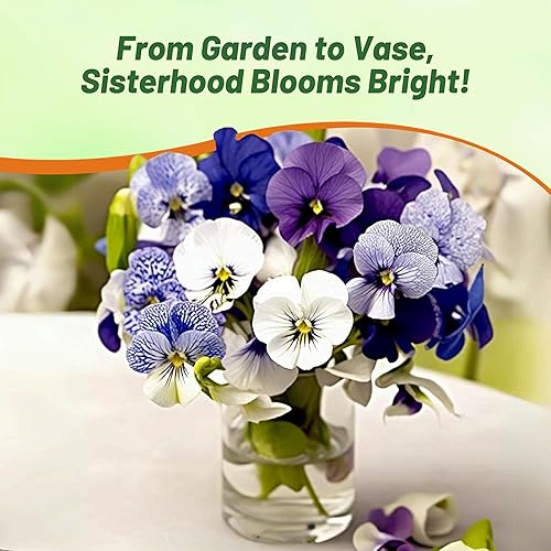 Miniatura 7 de Outsidepride Perennial Viola Sorority Sisters - Mezcla de semillas de plantas de jardín - 100 semillas