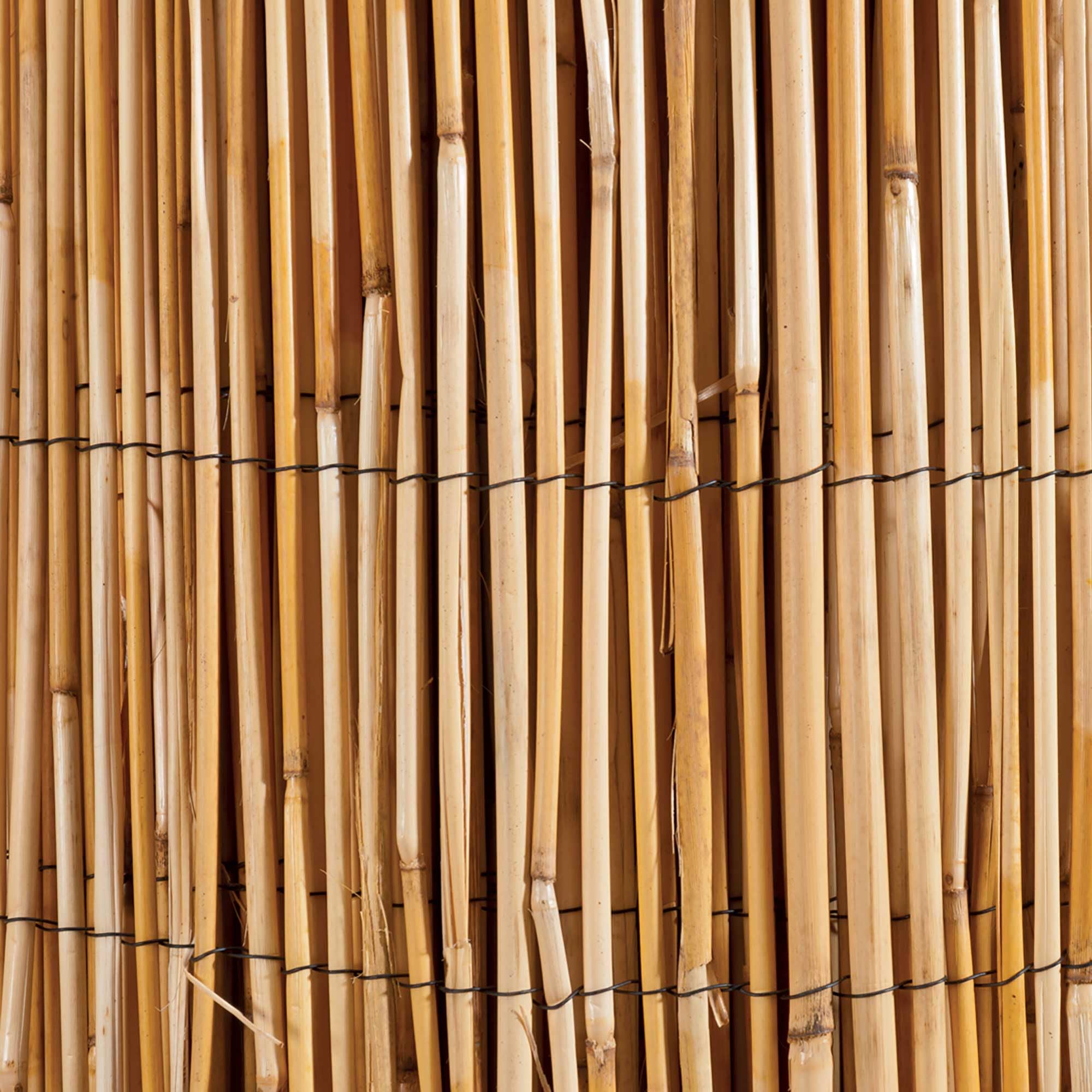 WERKA PRO Canisse en Roseau Naturel 1,8 x 5 m