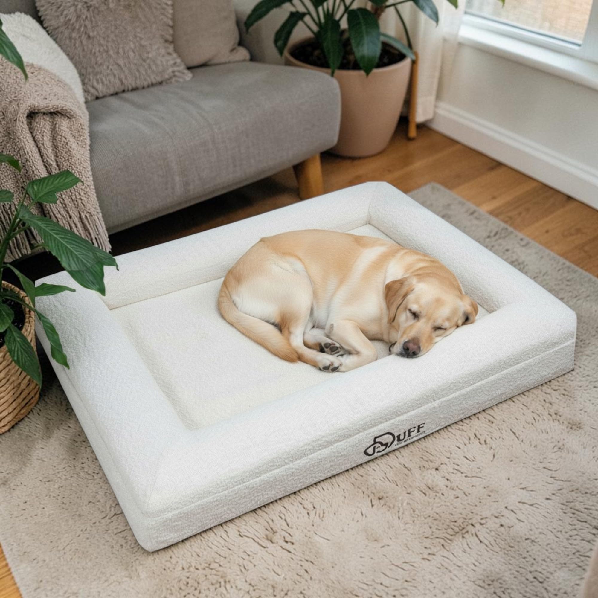 Duff® Lit Orthopédique Chien Grande Taille L (115x90 cm) – Matelas Mémoire de Forme Haute Densité – Tissu Bouclette Premium, Housse Lavable – Confort Durable & Élégant