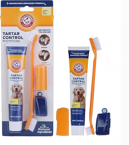 Arm Hammer for Pets Tartar Control Kit for Dogs-Contains Toothpaste Dog Toothbrush Fingerbrush - Dog Teeth Cleaning Kit Dog Toothpaste Kit from
