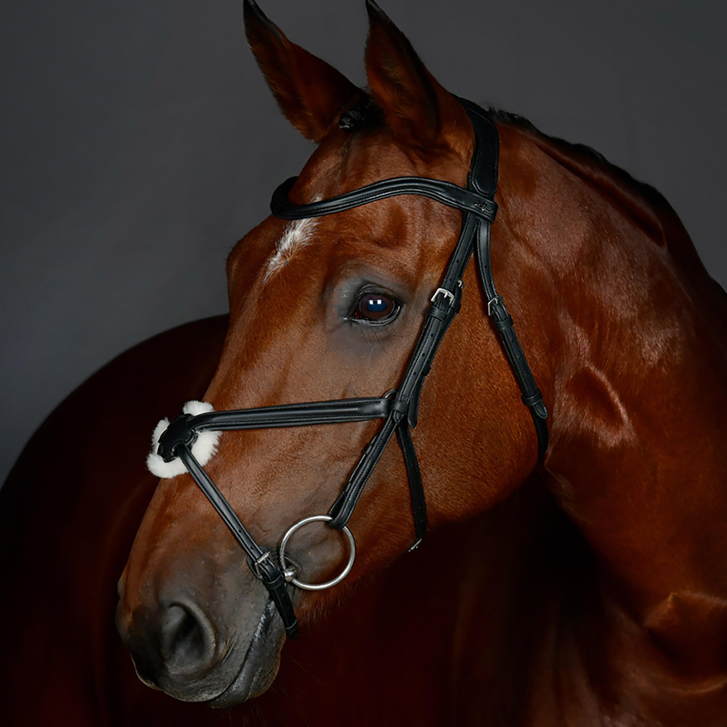 Collegiate ComFiTec Opulux Plain Padded Grackle Bridle, Black, Cob