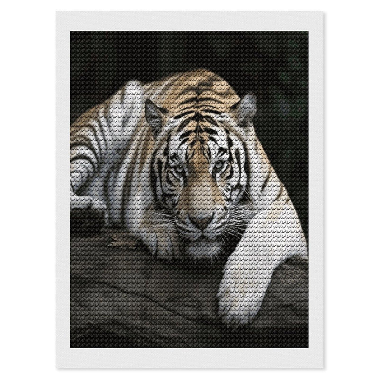 JTREHY Tiger Lie On Rock Diamond Art Kits Personalized DIY Round Diamond Painting Kits for Beginner Full Drill Diamonds Dots Paintings for Adults Gem Art Crafts Home Decor