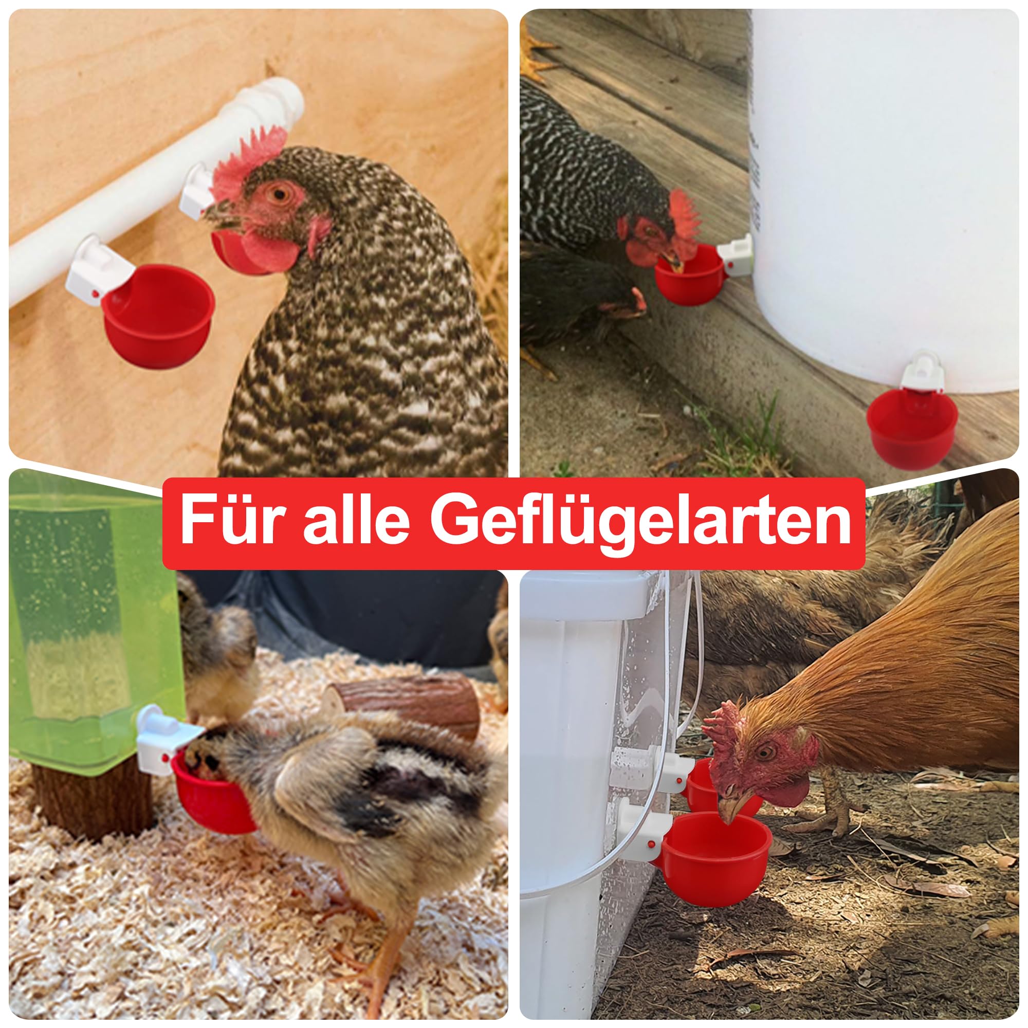 ZenxyHoC DIY Hühnertränke, 6 Stück Hühnerwasserbecher Hühnerwasserspender, Automatische Geflügeltränke Set für Hühner Enten Gänse Truthähne
