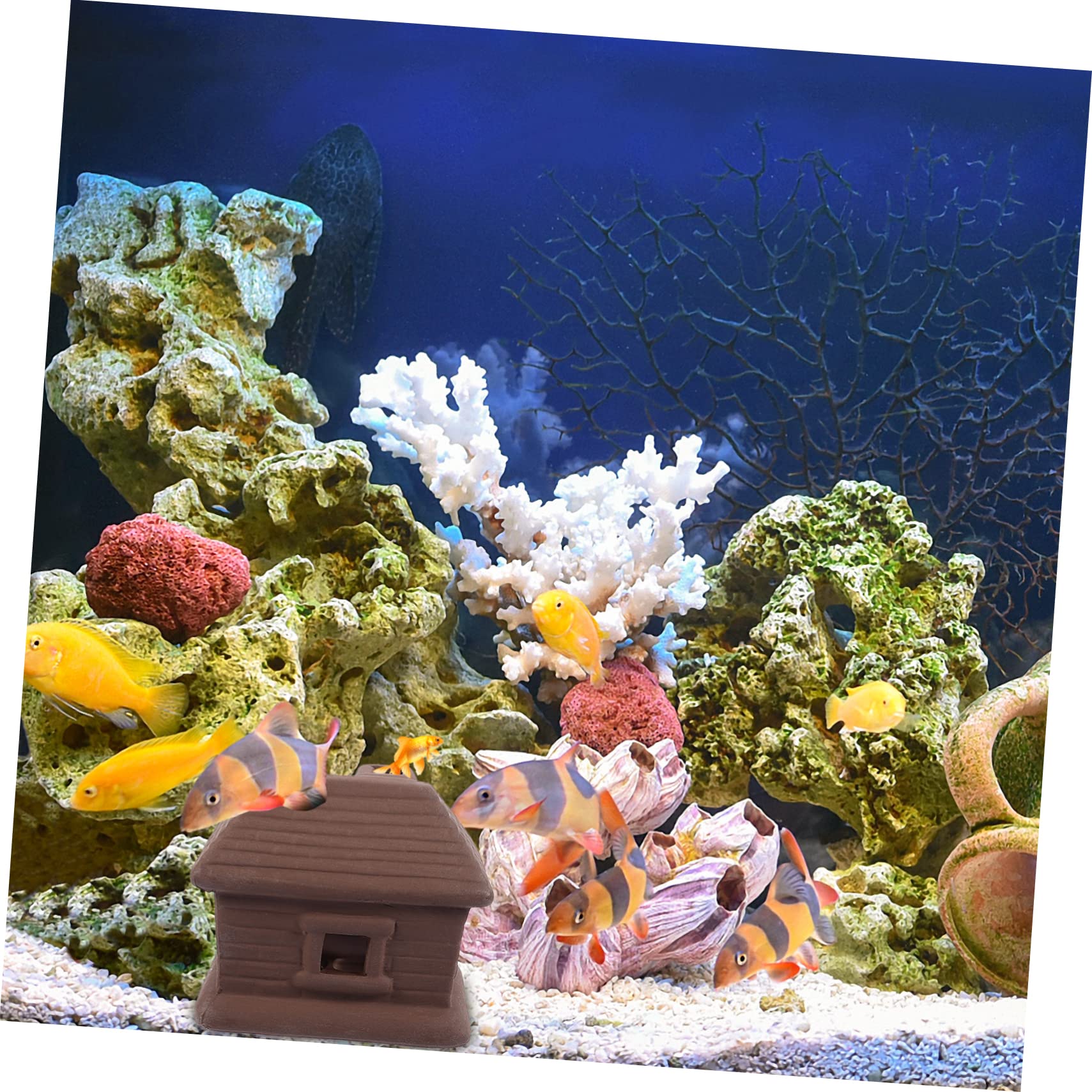 Sosoport 3stücke Aquarium Dekoration Fischhöhle Für Zucht Und Versteckmöglichkeiten Im Fischbecken Lebensnahe Gestaltung Für Aquarienlandschaften Für Fische Und Garnelen