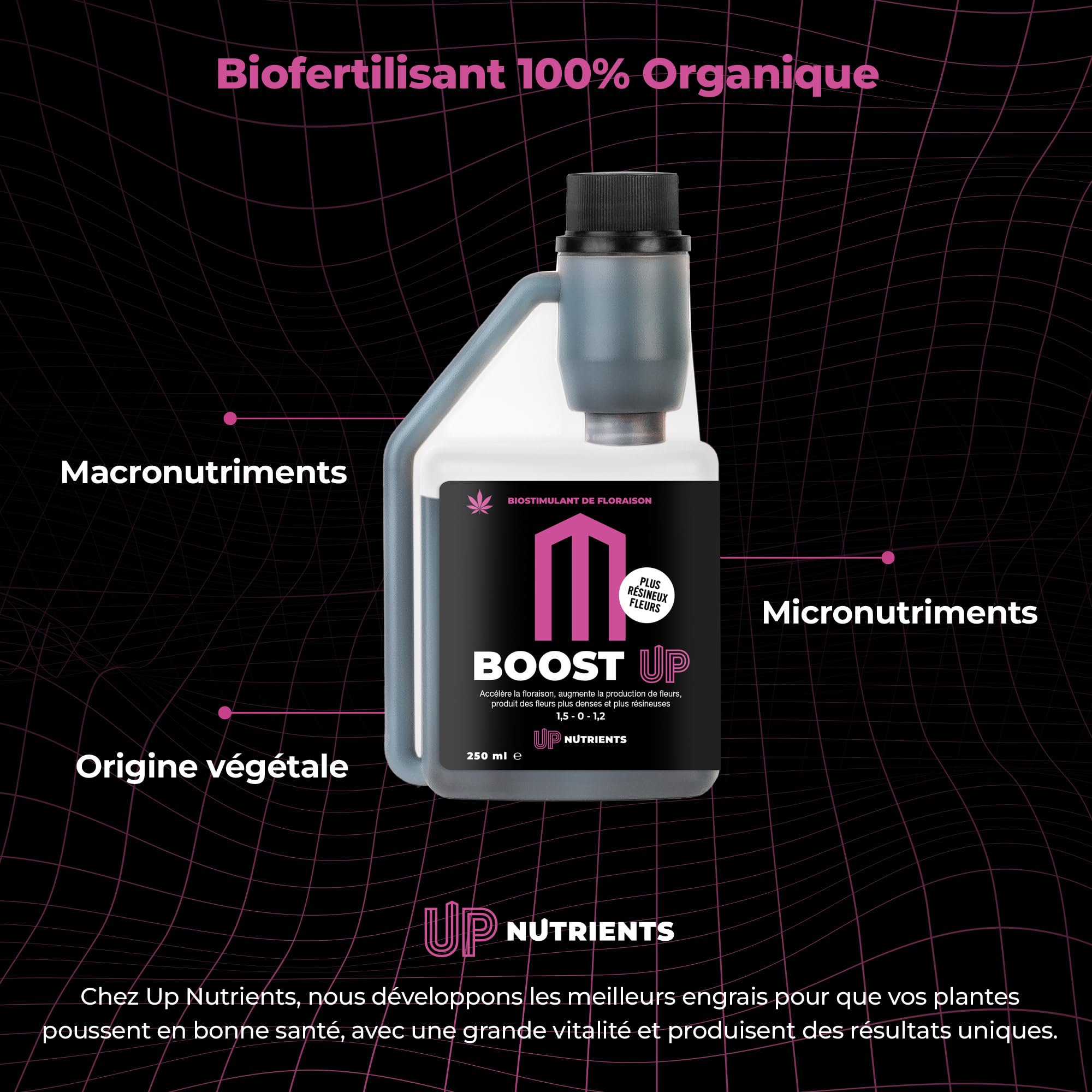UP NUTRIENTS Trypack Engrais Grow, Bloom & Boost 250 ml | Engrais 100% biologique pour culture en intérieur & extérieur | Enracinement, Croissance et Floraison | Stimulant fleurs et plantes (250 ML)
