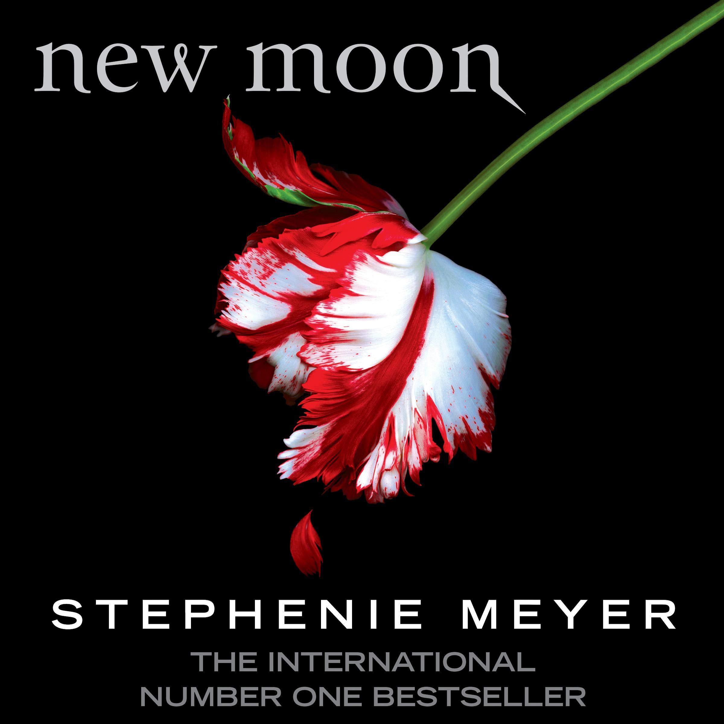 New Moon: Twilight Series, Book 2