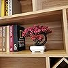 Product Photo 5