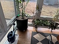 Review Image by Trisza L Ray, DO