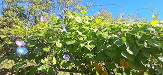 Review Image by Jennifer Mulryan Jennifer Mulryan