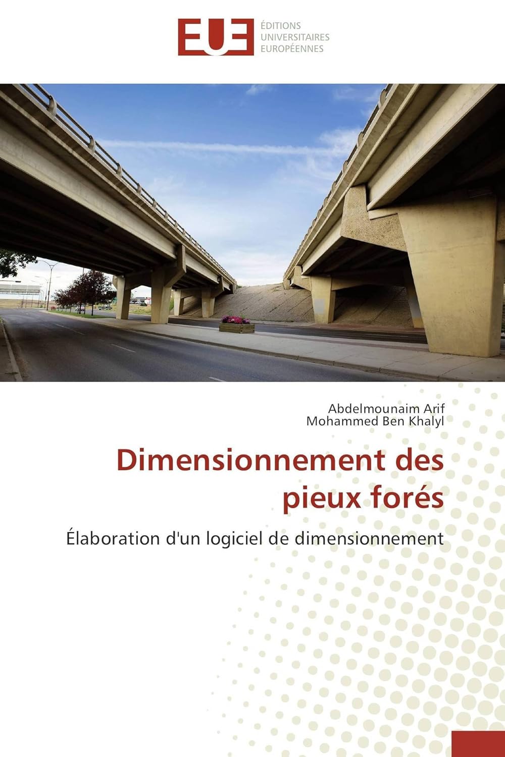 Dimensionnement Des Pieux Fores Collectif 9786131548994 Books