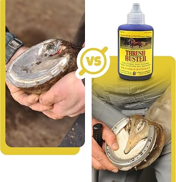 Thrush Treatment for Horses, Hoof Care Liquid to Help Maintain Healthy Hooves, Purple Stain Formula, Easy to Apply, Equine Farrier Favorite, 2 oz