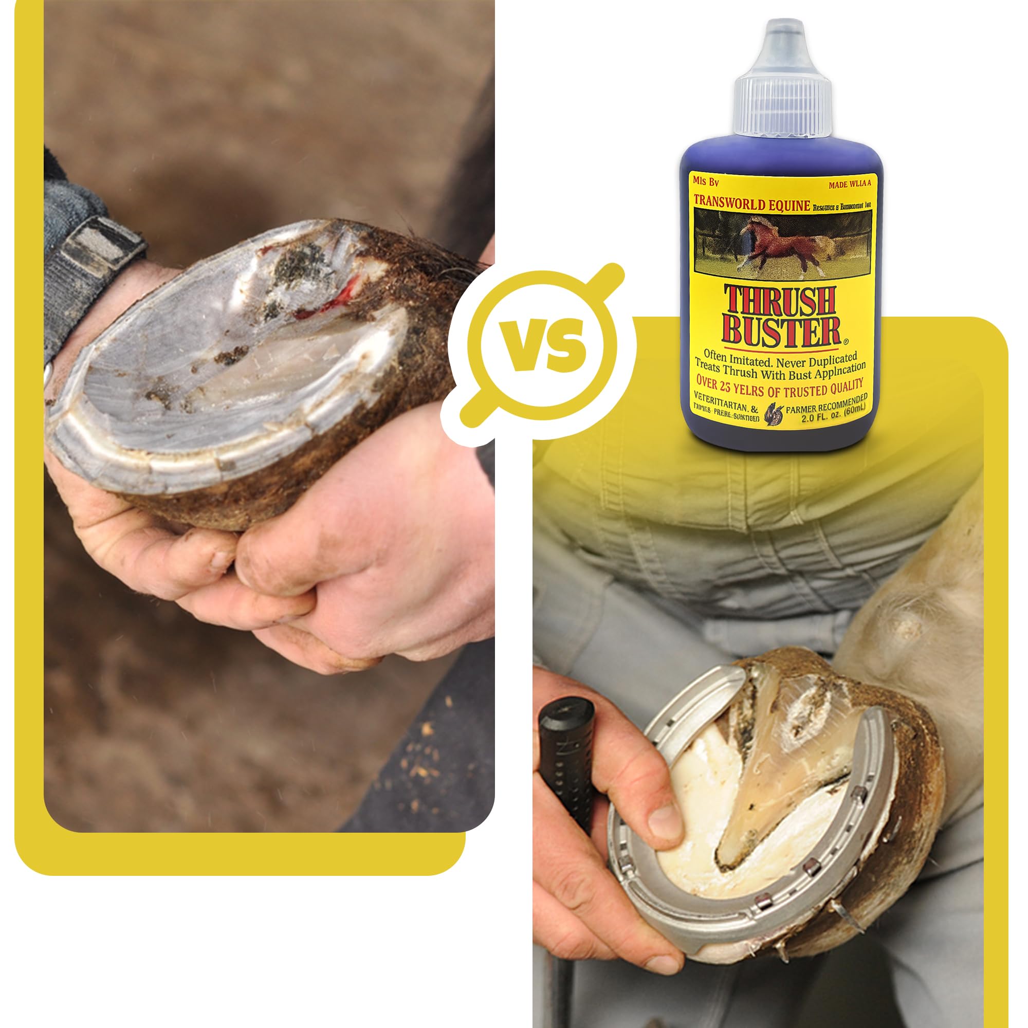 Tohoyard- Thrush Buster 2.0 FL oz para Caballos