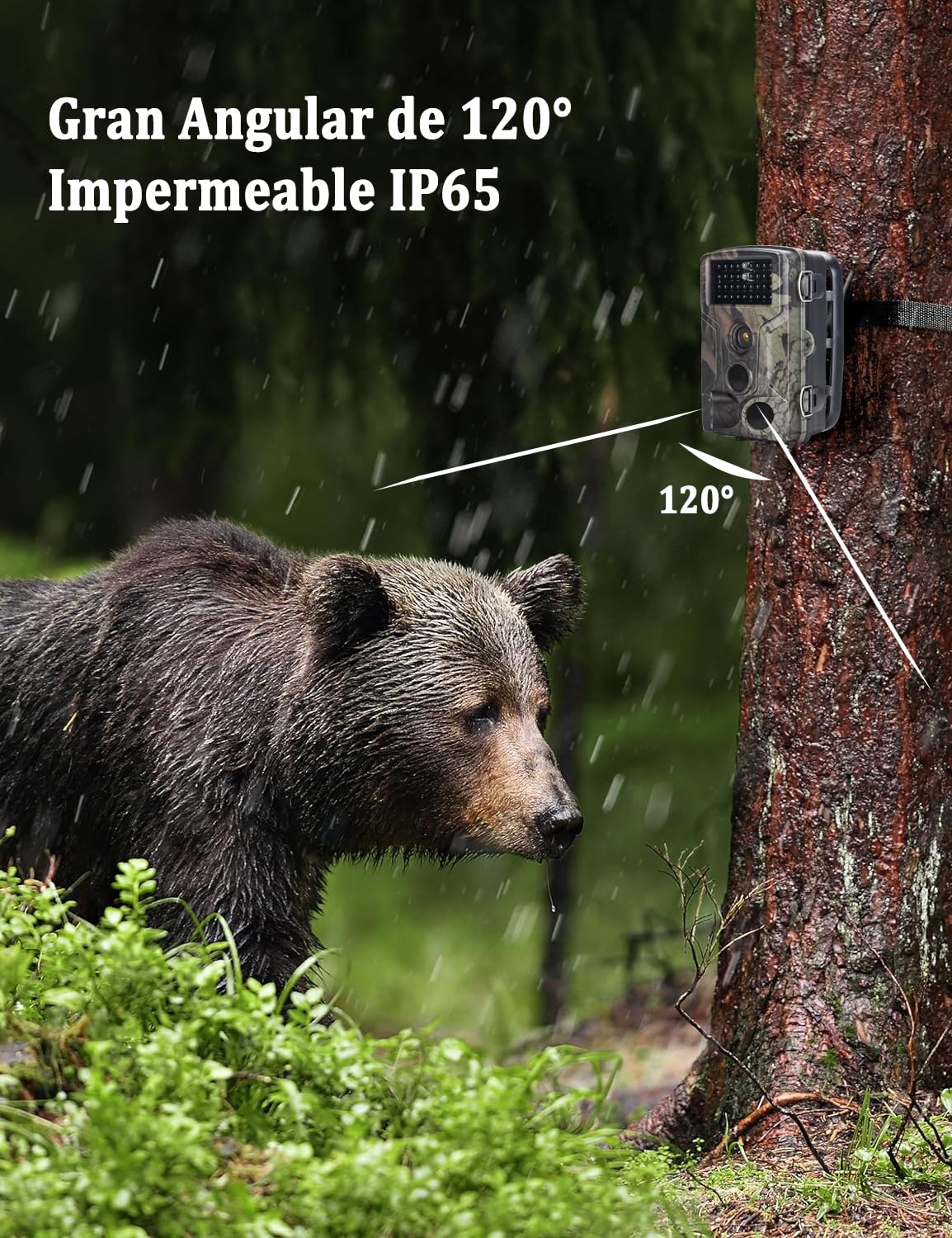 Camara Caza 50MP 4K, Camara Fototrampeo con Sensor de Movimiento, Cámara de Caza Nocturna Impermeable IP65, Visión Nocturna hasta 25m, Micro SD 32GB