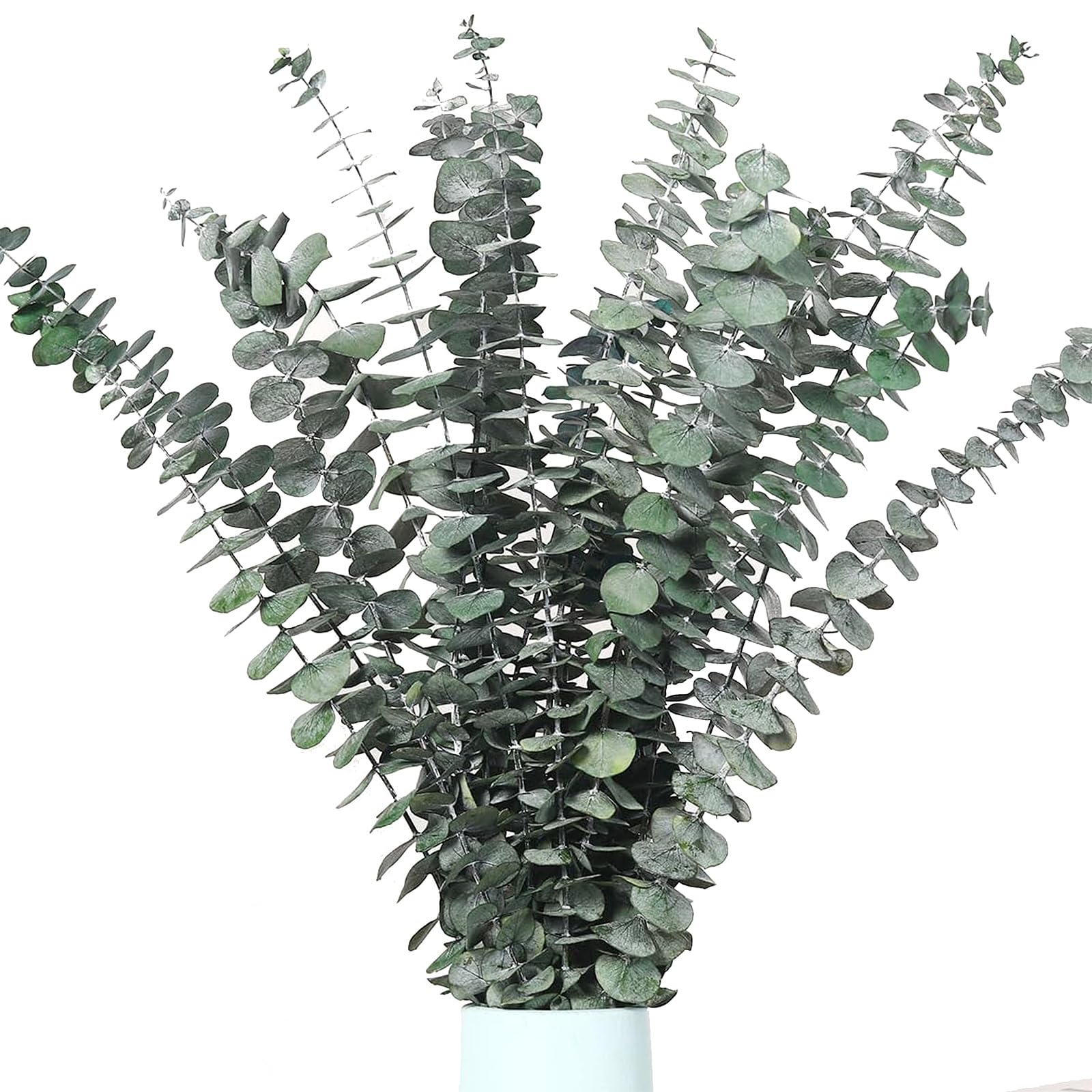 12 Pcs Eucalipto Secado Naturales Flores Secas 45cm, Ramas Eucalipto Artificial, Unidades de Seco Natural, Decoracion Follaje Artificial, para Bodas, Fiestas, Hogar, Arreglos Florales