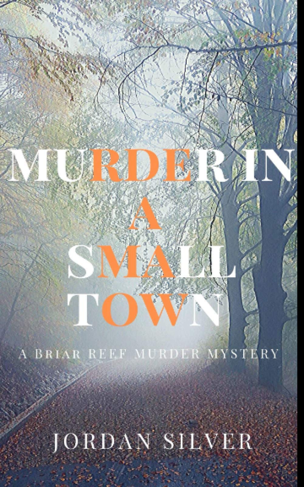 Murder In A Small Town (Briar Reef Murder Mystery)
